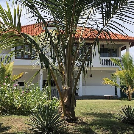 נילבלי Ypsylon Resort Ostkueste מראה חיצוני תמונה